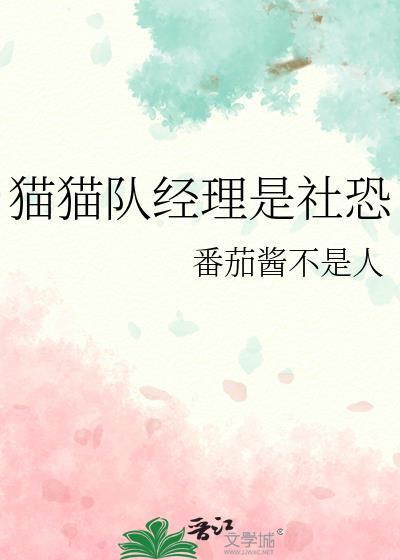 猫猫队阵容
