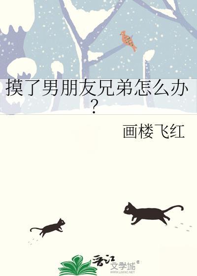 摸了男朋友兄弟怎么办全文免费