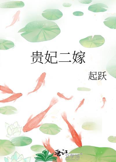 贵妃二嫁晋江