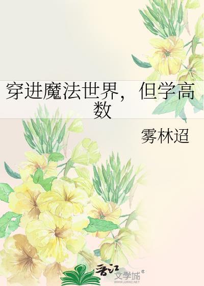 穿进魔法世界,但学高数
