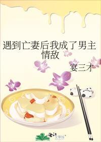 遇到亡妻后我成了男主情敌