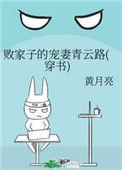 败家子的宠妻青云路（穿书）